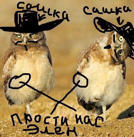 Александр Когтев | Москва