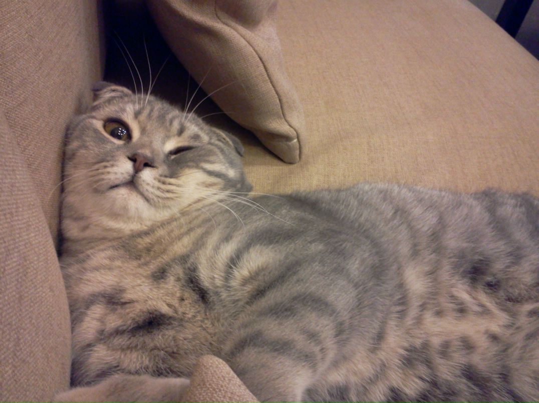 Виталий Кравчинский | Чернигов