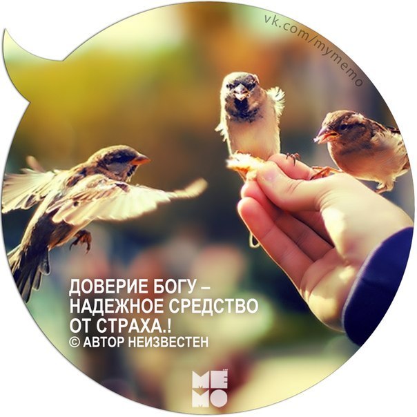 Джамиля Ниязова | 