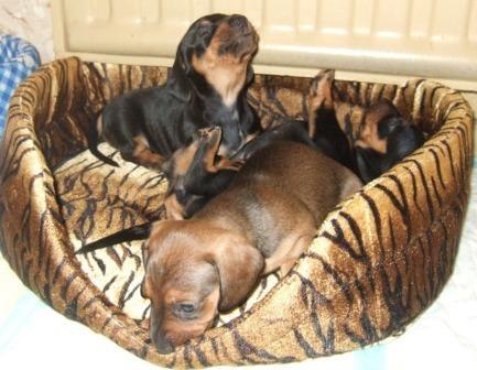 Наталья Малярова | Санкт-Петербург