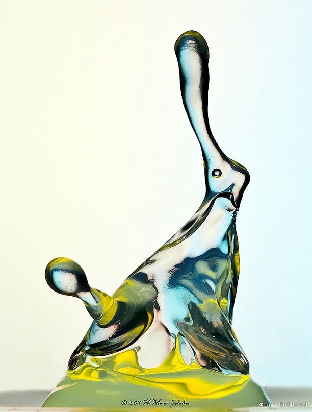 Ольга Галустян | Одесса