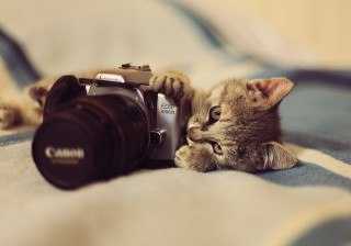 Алёна Мухина | Псков