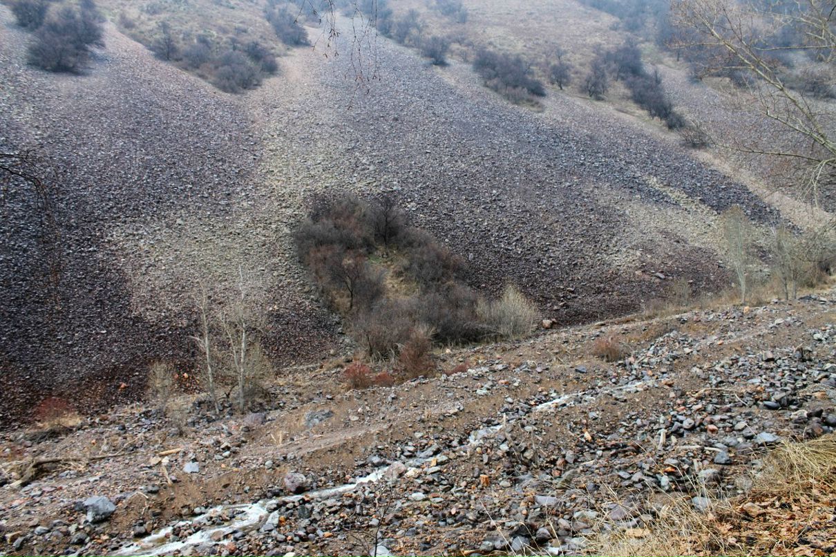 Николай Шмидт Михалыч | Алматы