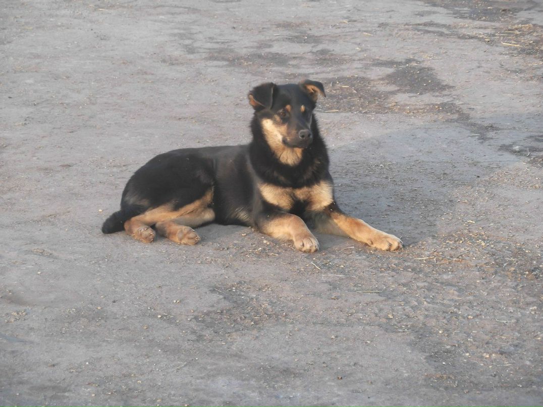 Валерій Ясиновий | Малая Антоновка