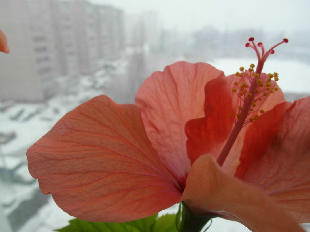 Екатерина Ратникова | Москва