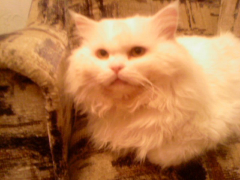 Ольга Рожкова | Стаханов