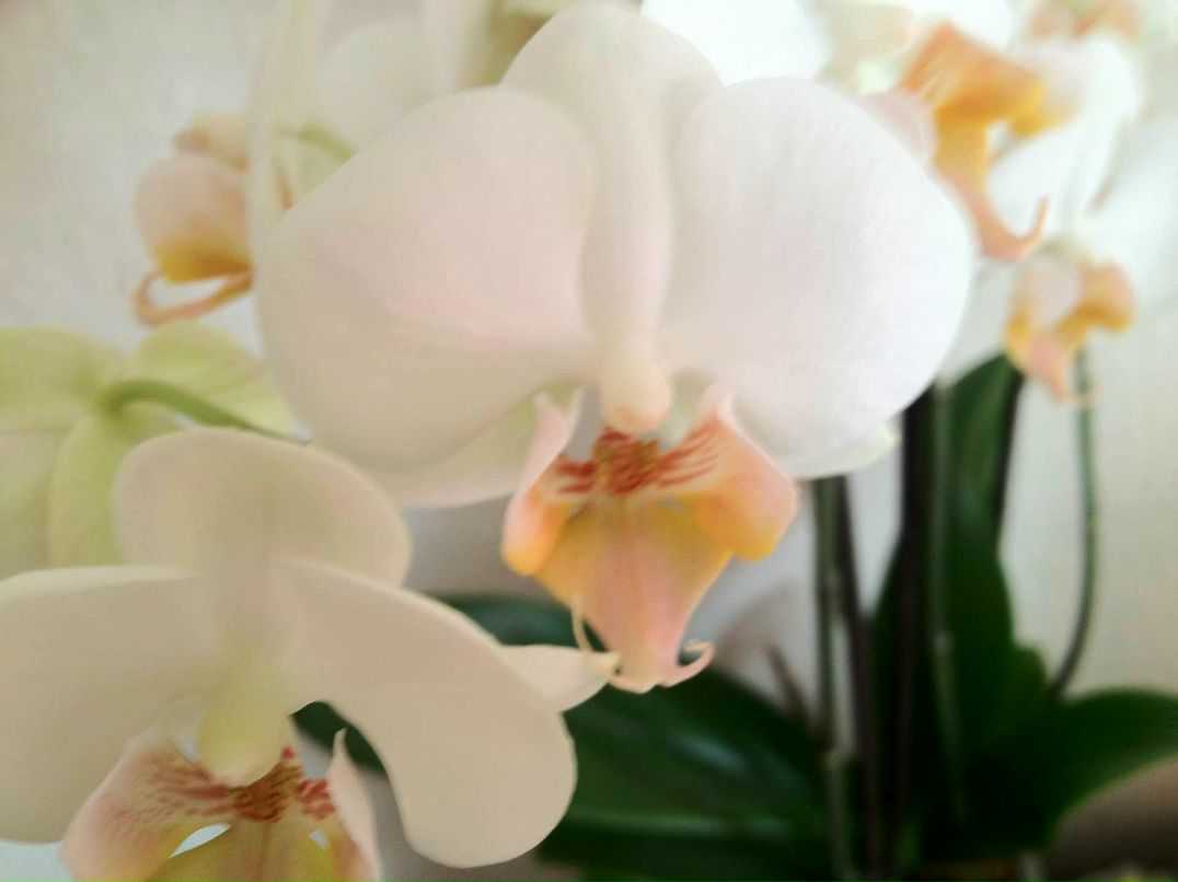 Татьяна Борисенко | Москва