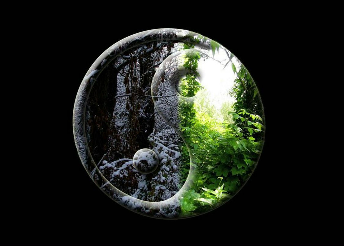 Ярослав Орлов | Пермь