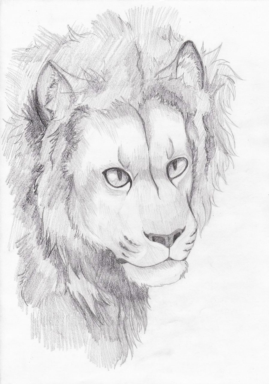 Елена Гуляева | Санкт-Петербург