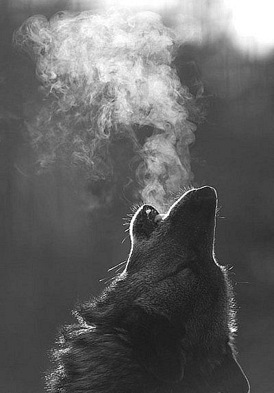 Айрат Гургенидзе | Казань