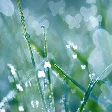 Катя Слюсарчук | 