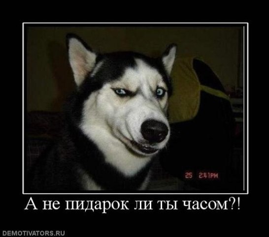 Сергей Захаров | Великий Новгород