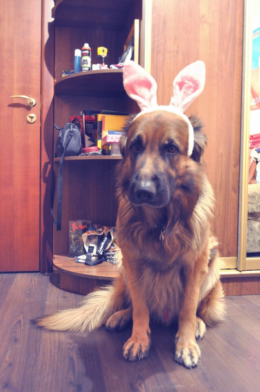 Юлия Сидорова | Нижний Новгород