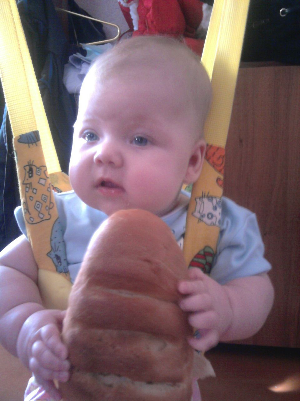 Екатерина Браун | Новосибирск