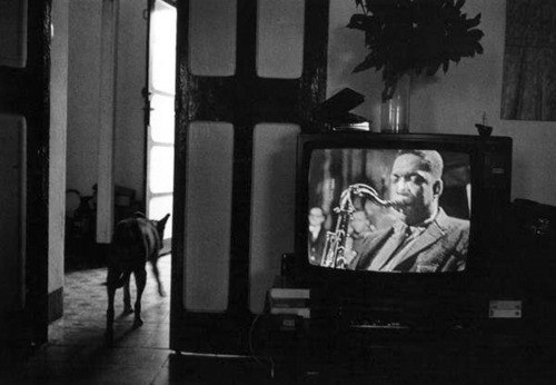 Даша Точилина | Москва