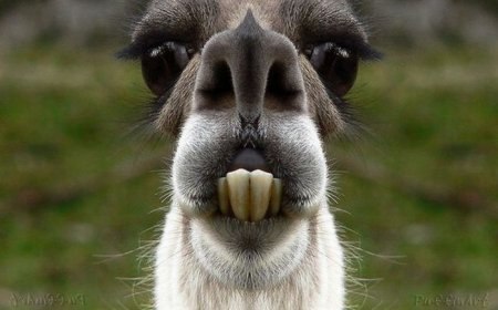 Евгений Таранников | Kingston