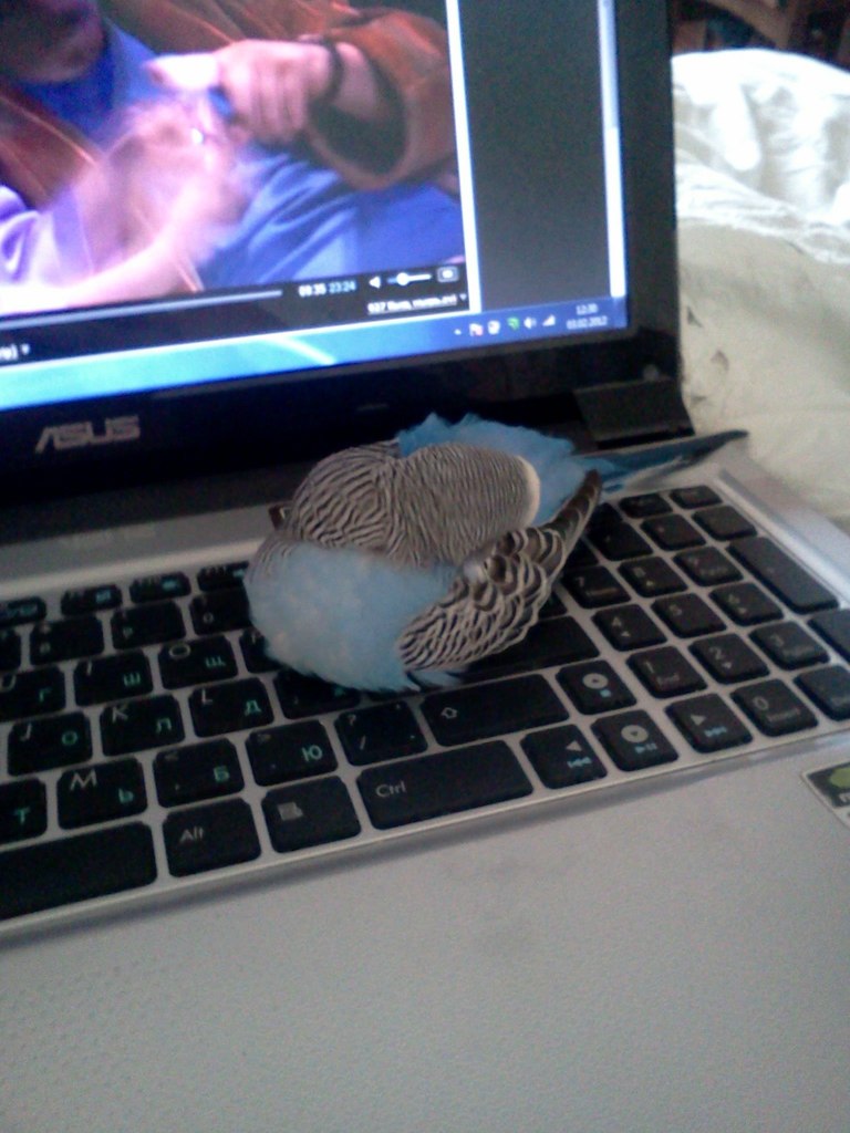 Саша Одарич ODY | Киев