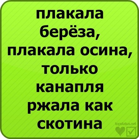 №2, Александр Гребинник, 32 года, Киев №2, Александр Гребинник, 32 года, Киев
