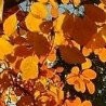 №12, Наталья Аджигитова, 58 лет, Астана №12, Наталья Аджигитова, 58 лет, Астана