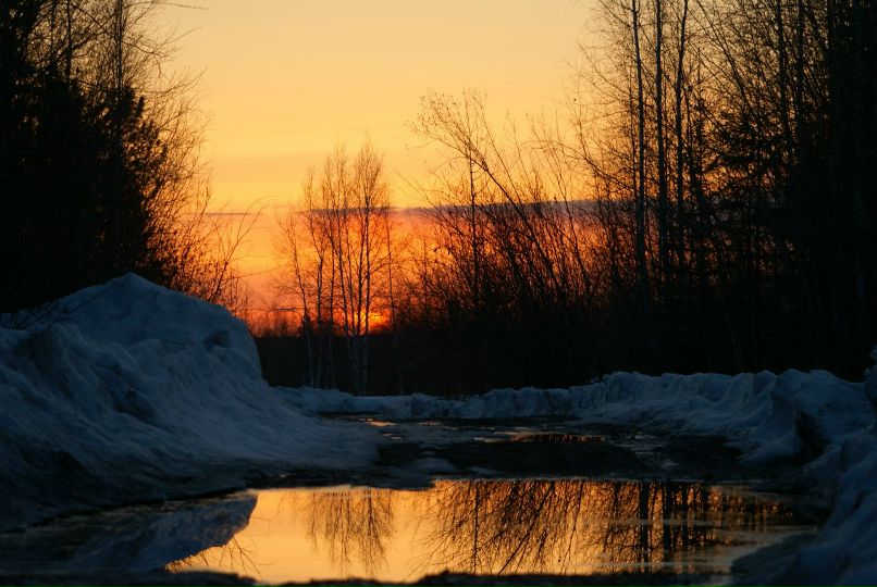 Иван Босниец | 