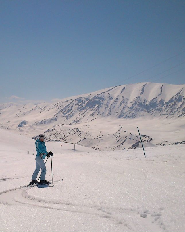 Ольга Дубынина | Toronto