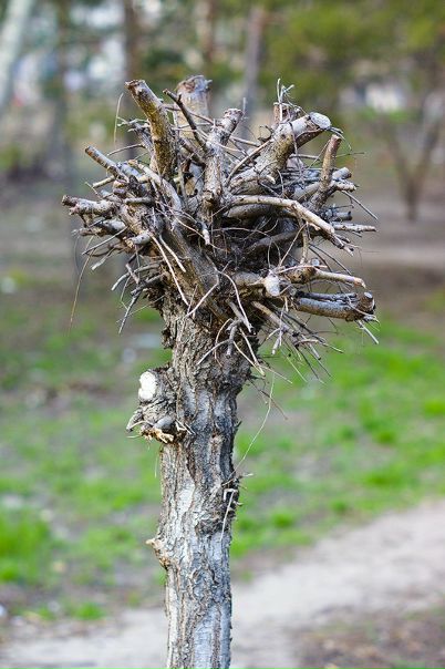 №97, Алексей Соловьев №97, Алексей Соловьев