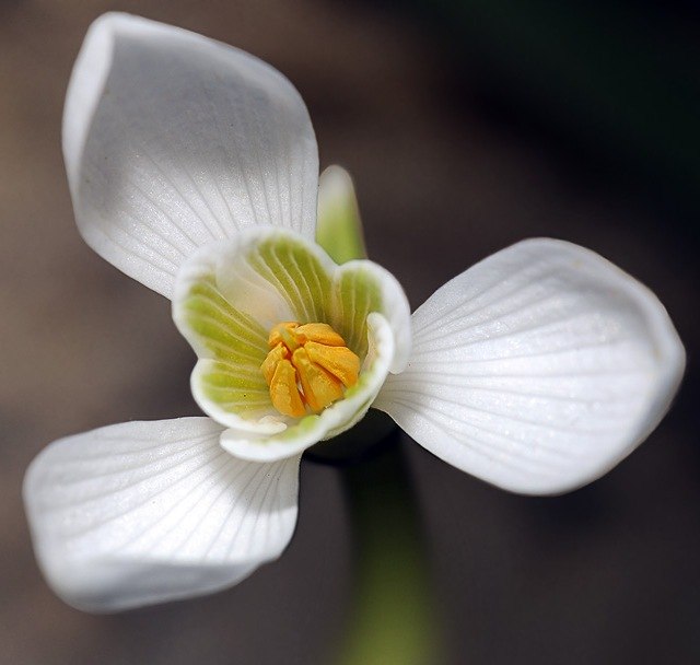 Артем Белянчиков | Шарыпово