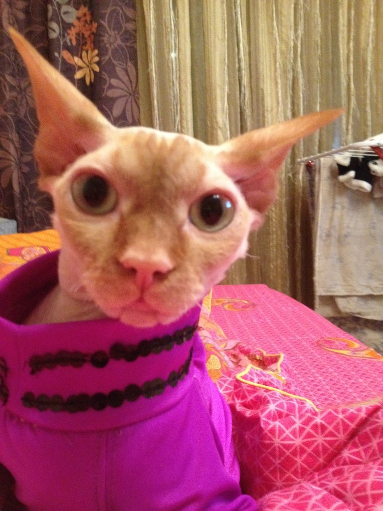 Андрей Стальмаков | Москва