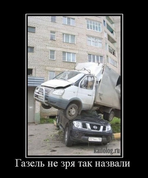 Дмитрий Микула | Чернигов