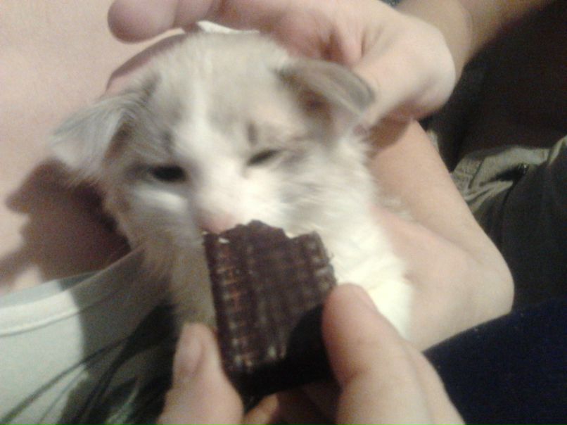 Алёна Лаптева | Ишимбай