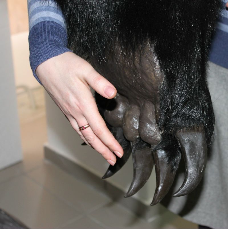 Надежда Филатьева | Новосибирск