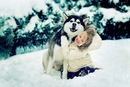 Фотография Алексей Канев