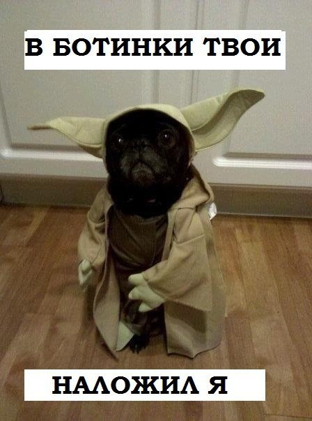 Олечка Евстровкина | 