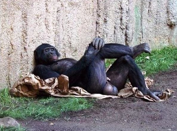 Василий Теркин | Мелеуз