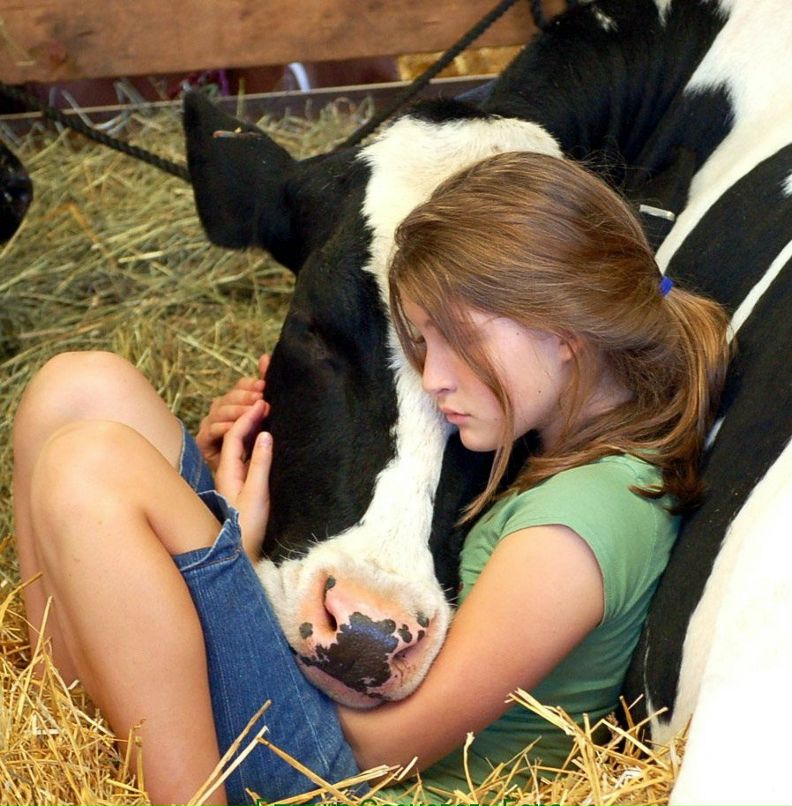 Camille Saens Ca I.R.A. | San Francisco