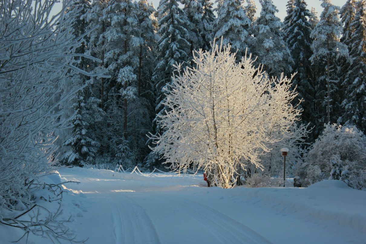 Валентина Саволаинен | 