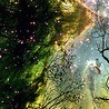 №138, Анжеліка Несен, 27 лет №138, Анжеліка Несен, 27 лет
