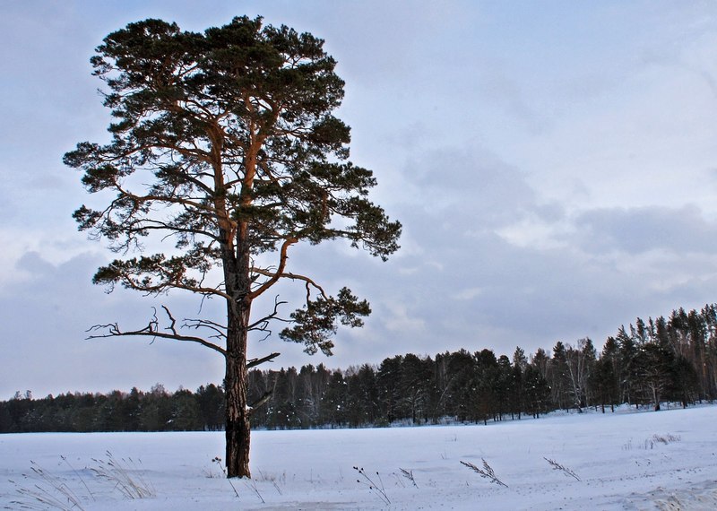 Сергей Алембеков | Самара