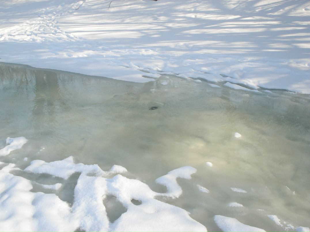 Дмитрий Ганнин | Сумы