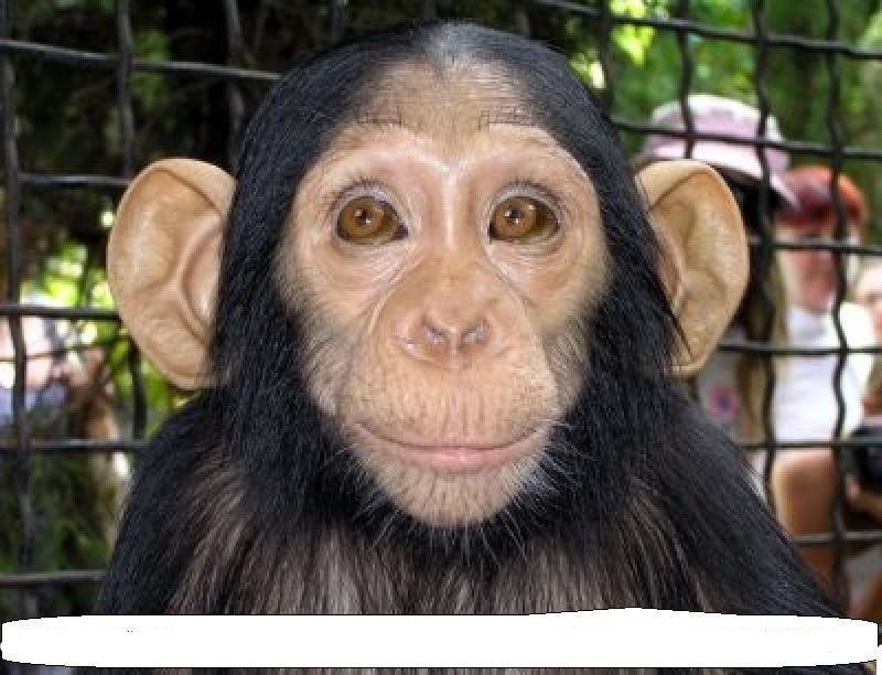 Ленар Арсланов | Набережные Челны