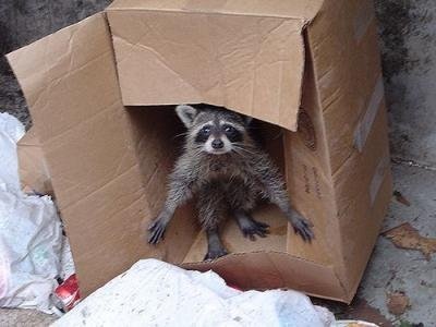 №43, Юся Ларченко, Киев №43, Юся Ларченко, Киев