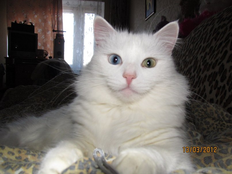 Настя Соколова | Херсон