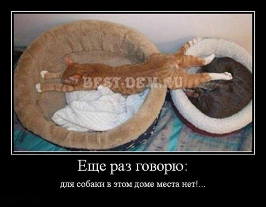 Никита Шавергин | Калуга