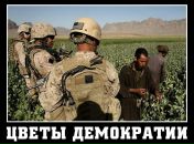 №11, Дмитрий Беляев, 29.4, Санкт-Петербург, Россия