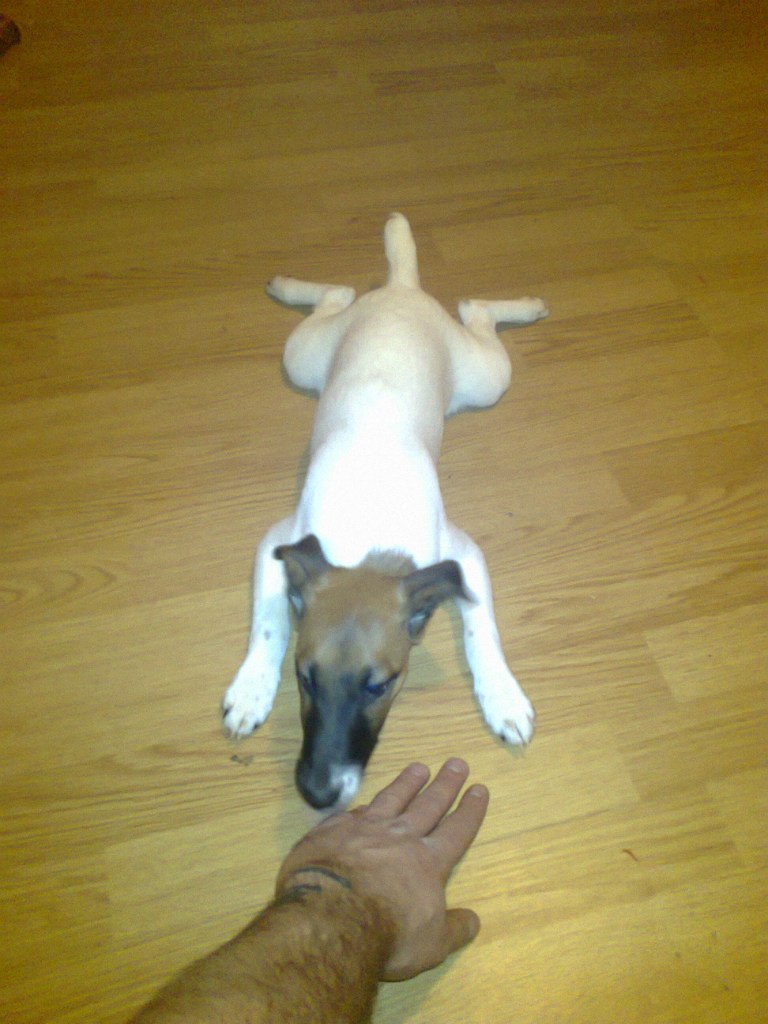 Карен Маркарян | Москва