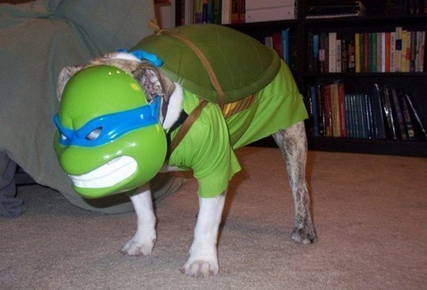 Макс Жупанов | Сосновый Бор