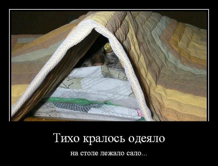 Елена Гудкова | Челябинск