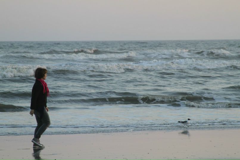 Patrik Молденовский AMERICANO | Wilmington