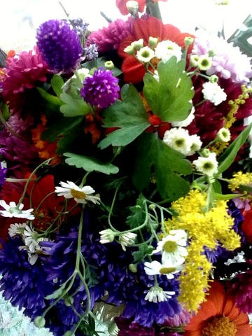 Надя Богачёва | Москва