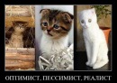Фотография Костик Фролкин